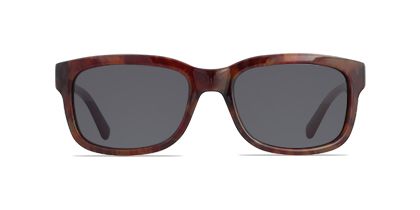Buy in Top Picks, Top Picks, Sunglasses, Sunglasses, Sunglasses Sale, Sunglasses Festive Sale, Sunglasses Hot Deal, All Sunglasses Collection, Calvin Klein at US Store, Glasses Gallery. Available variables: