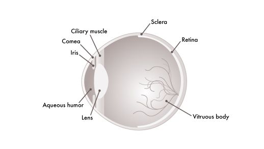 Glassesgallery lens info image - Cataracts